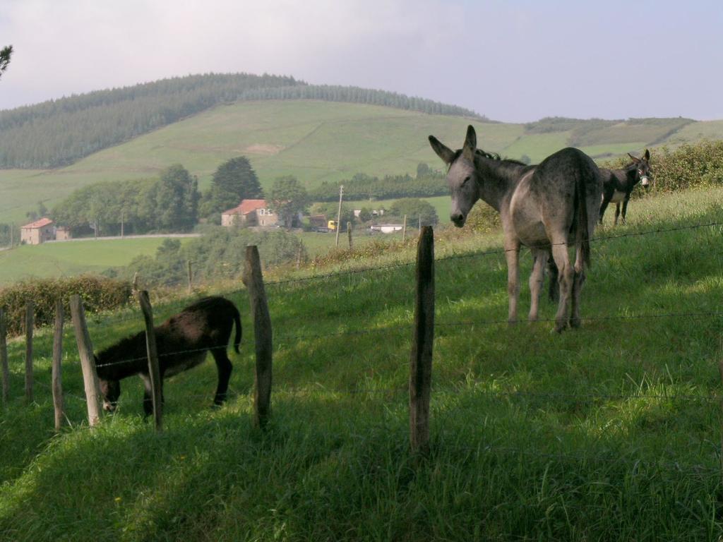 Agroturismo Kasa Barri Бермео Екстер'єр фото